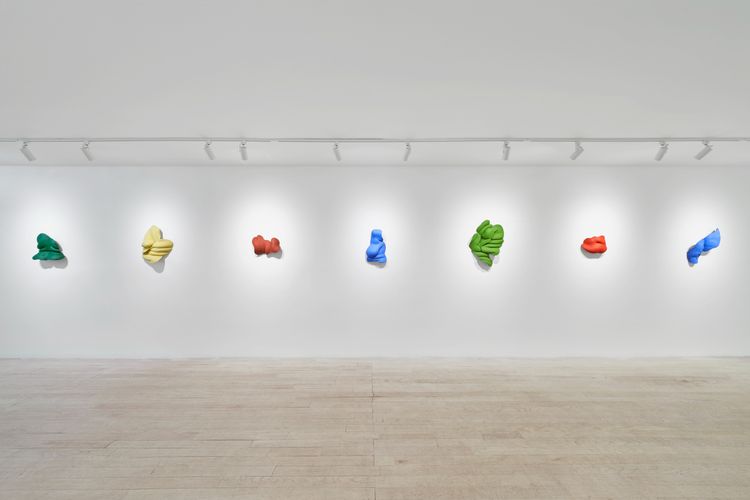Installation view, Sarsabzi سرسبزی, Hannah Traore Gallery · 2025 (9)