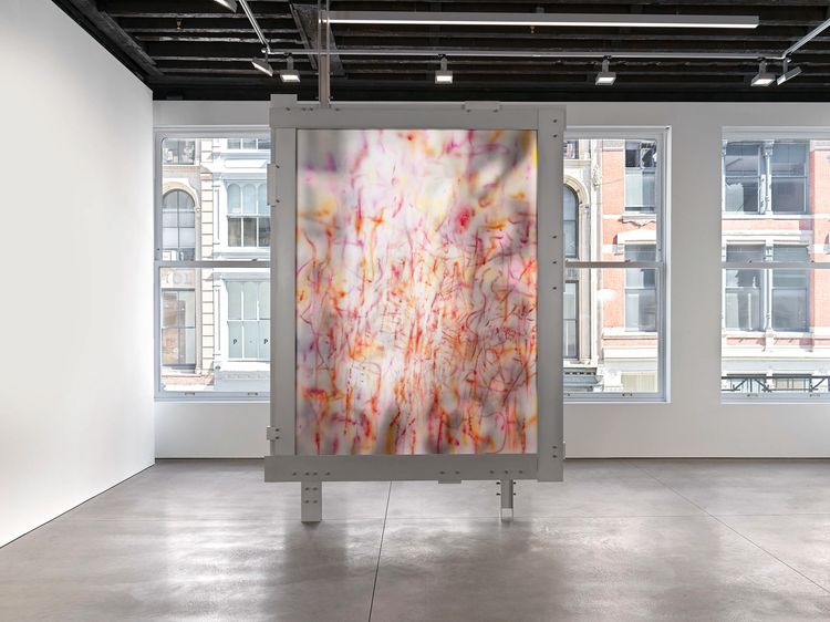 Installation view, Our Days, Like a Shadow (a non-abiding hauntology), Marian Goodman, New York · 2026 (4)