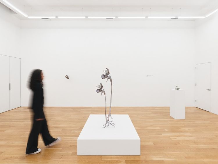 Installation view, Alien Spring, Nicodim · 2025 (10)