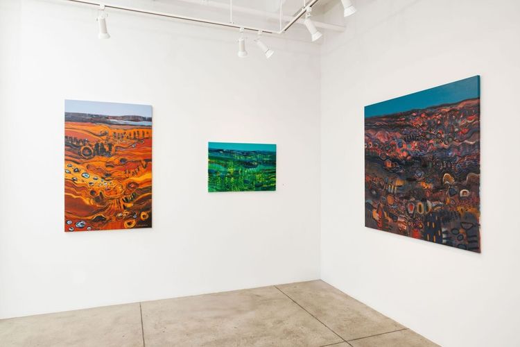 Installation view, Where the Light Settles, Montague Contemporary · 2025 (1)