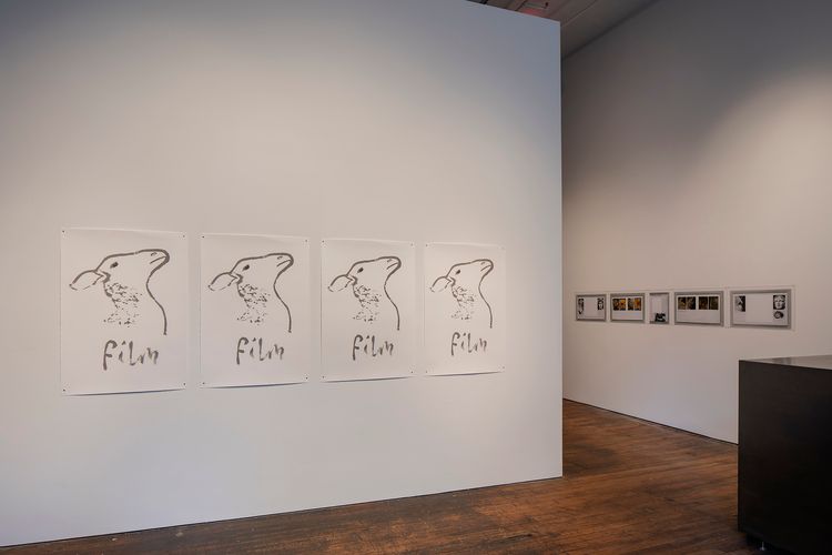 Installation view, Pygmalion Margaret Ursus Uan, Peter Freeman, Inc. · 2026 (3)