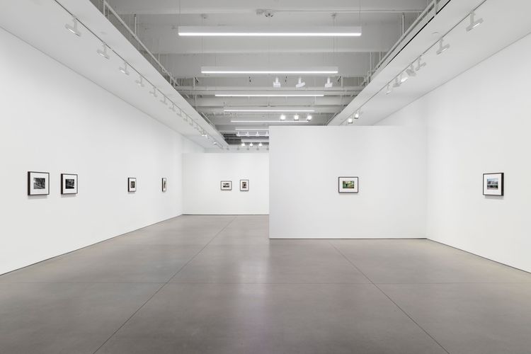 Installation view, Bones in the Canal and Other Photographs, David Kordansky Gallery, Chelsea · 2026 (20)