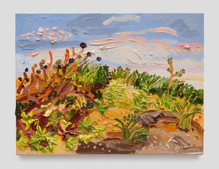 Installation view, Old Cape Cod, Night Gallery