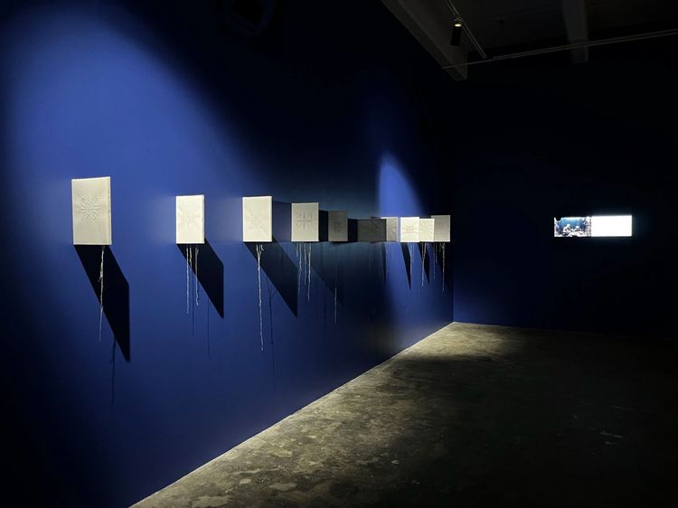 Installation view, Mapping Snail, Nunu Fine Art