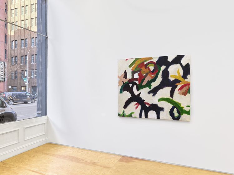 Installation view, Lost Canyon, Margot Samel · 2026 (12)