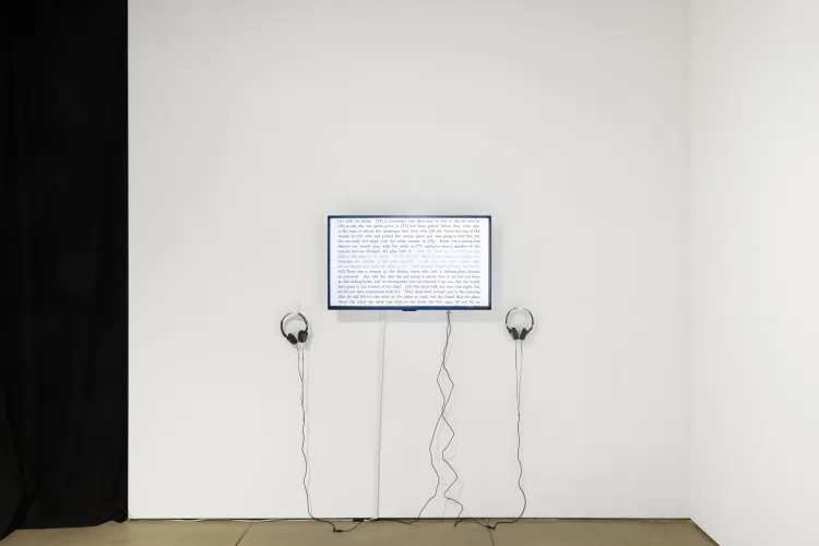 Installation view, Translator’s Note, OCHI Gallery · 2026 (4)