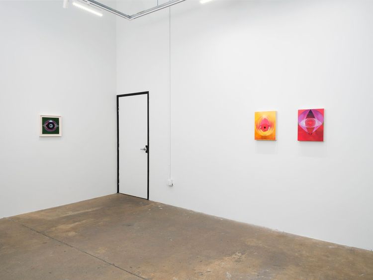 Installation view, Spotlight: Brittney Leeanne Williams, Vielmetter · 2026 (4)