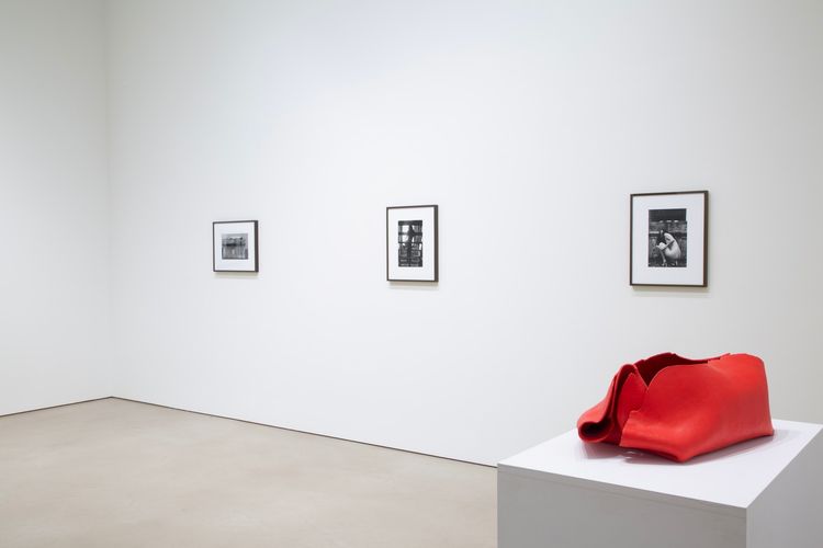 Installation view, The Viewing Room, Petzel Gallery · 2025 (2)