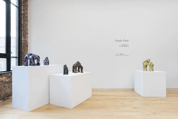 Installation view, Whims of Panspermia, DIMIN · 2026 (4)