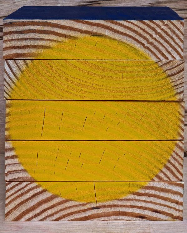 Installation view, Abelardo Morell: Out of Paper / In Dialogue with Gene Davis, Kenneth Noland, Jules Olitski & Larry Poons, Edwynn Houk Gallery · 2026 (3)