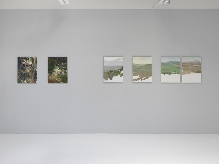Installation view, Landscapes, Jeffrey Deitch, Wooster Street · 2026 (1)