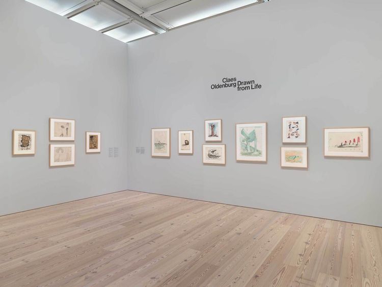 Installation view, Drawn from Life, Whitney Museum of American Art · 2025 (2)