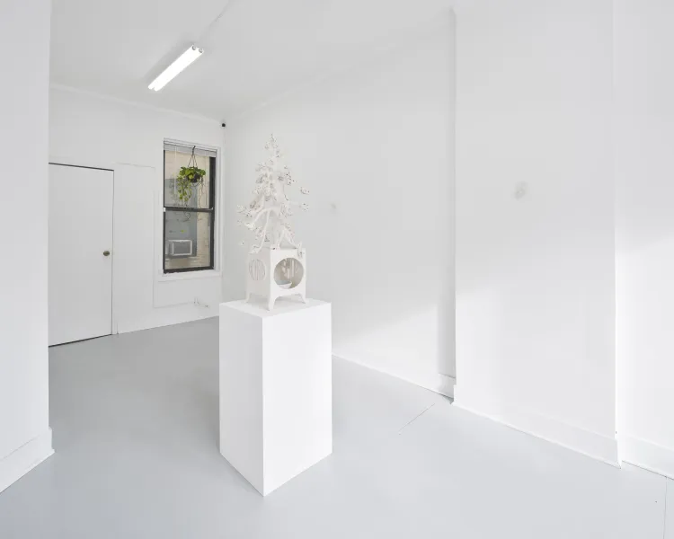 Installation view, Silence, Mrs. · 2026 (1)