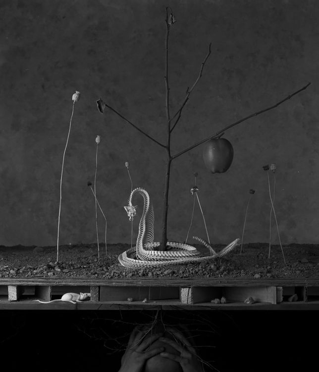 Installation view, AsSimulation, ClampArt · 2025 (2)