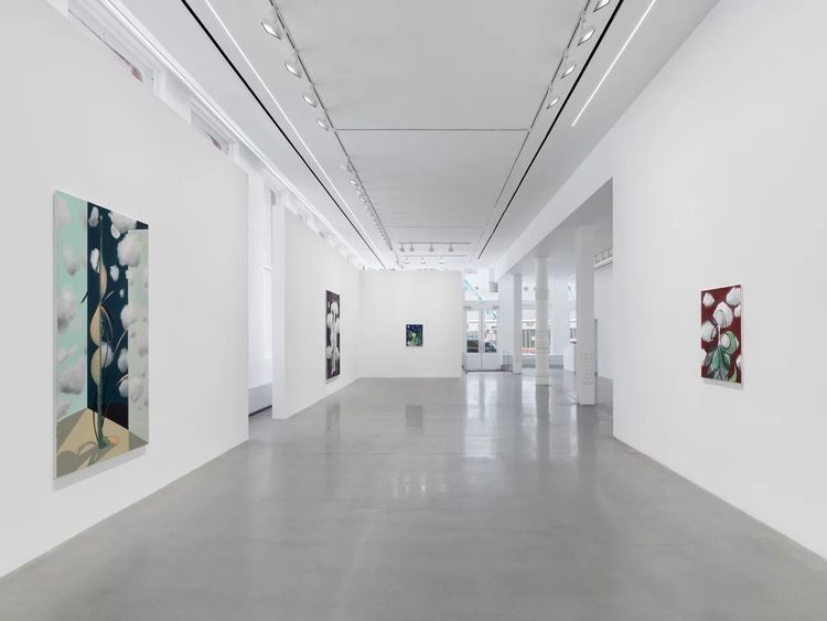 Installation view, Metamorphosis, Almine Rech, Tribeca · 2026 (12)