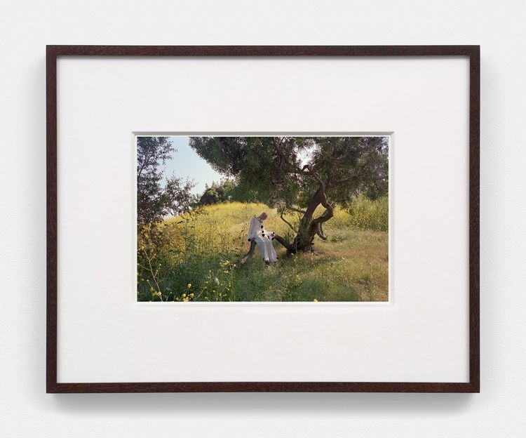 Installation view, Bones in the Canal and Other Photographs, David Kordansky Gallery, Chelsea · 2026 (36)