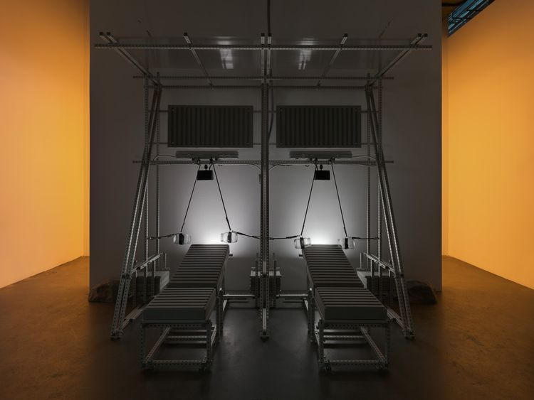 Installation view, ANIMAL [a listening gym], Pioneer Works · 2026 (2)
