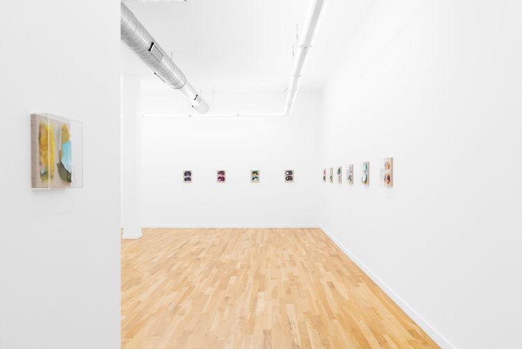 Installation view, Picture(s), DOCUMENT · 2026 (14)