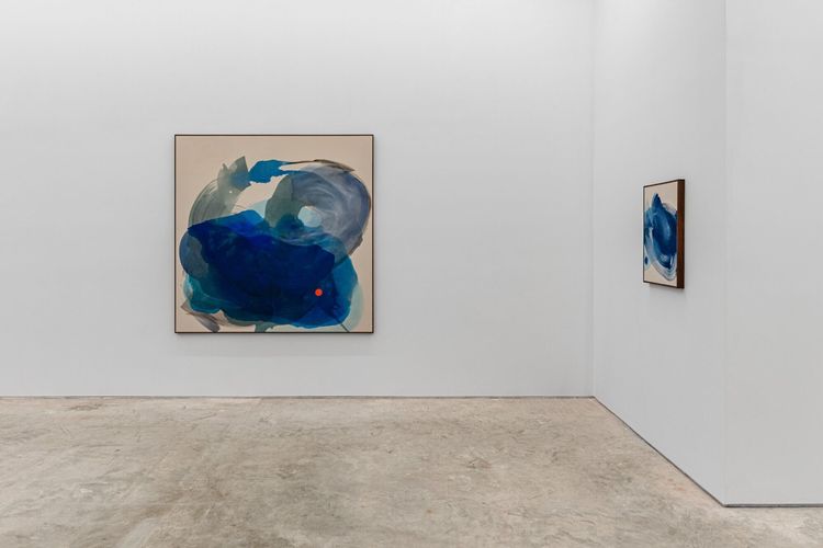 Installation view, Penumbra, Anat Ebgi · 2025 (10)