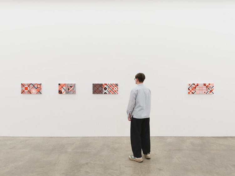 Installation view, Crisis Management, Anat Ebgi · 2026 (7)