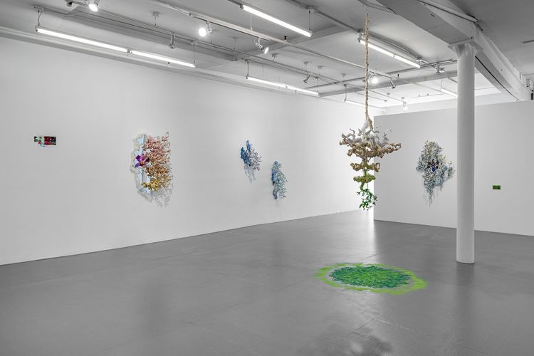 Installation view, Under, Cover, PROXYCO · 2026 (5)