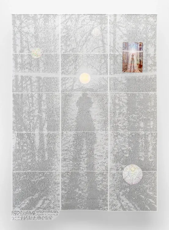 Installation view, Etiolated Calligrapher, Hyacinth Gallery · 2026 (20)