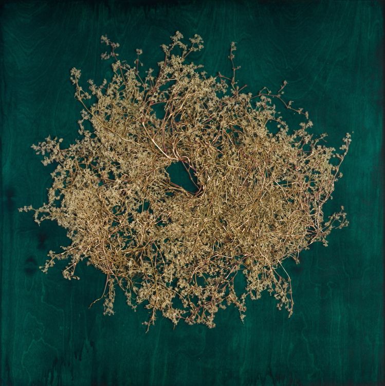 Installation view, To Know the Dark, Dolby Chadwick Gallery