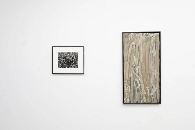Installation view, Angle of Incidence, Transmitter · 2026 (6)