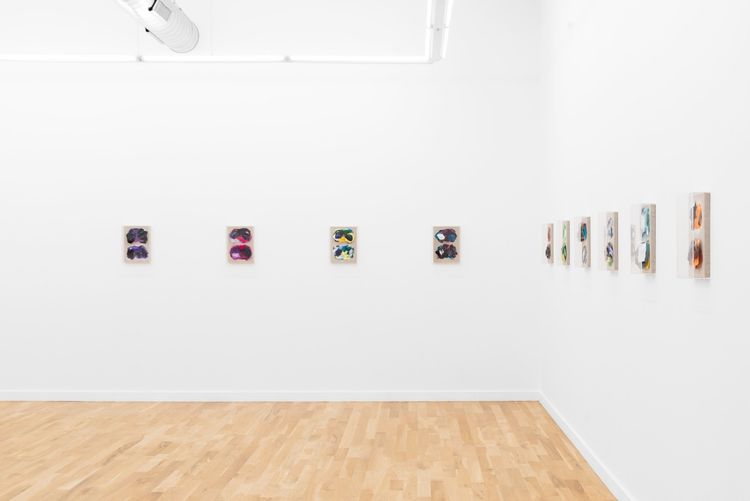 Installation view, Picture(s), DOCUMENT · 2026 (11)