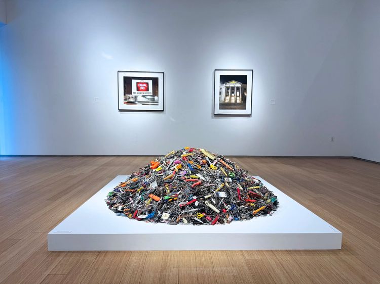 Installation view, Projecting Democracy, Nancy Hoffman · 2026 (11)