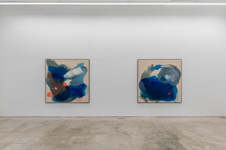 Installation view, Penumbra, Anat Ebgi · 2025 (5)