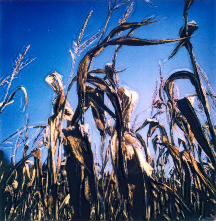 Installation view, Polaroid Revisions, Ceres