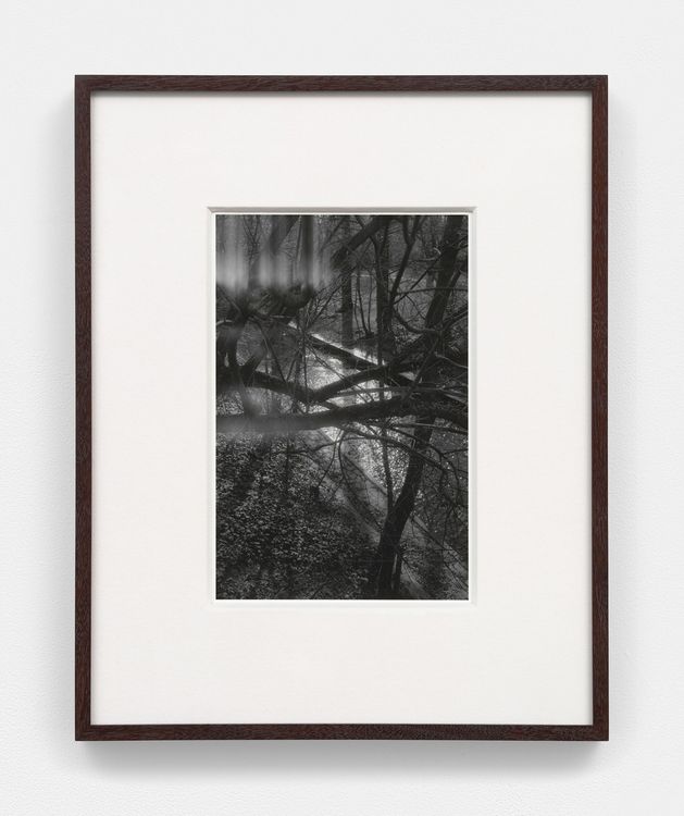 Installation view, Bones in the Canal and Other Photographs, David Kordansky Gallery, Chelsea · 2026 (31)
