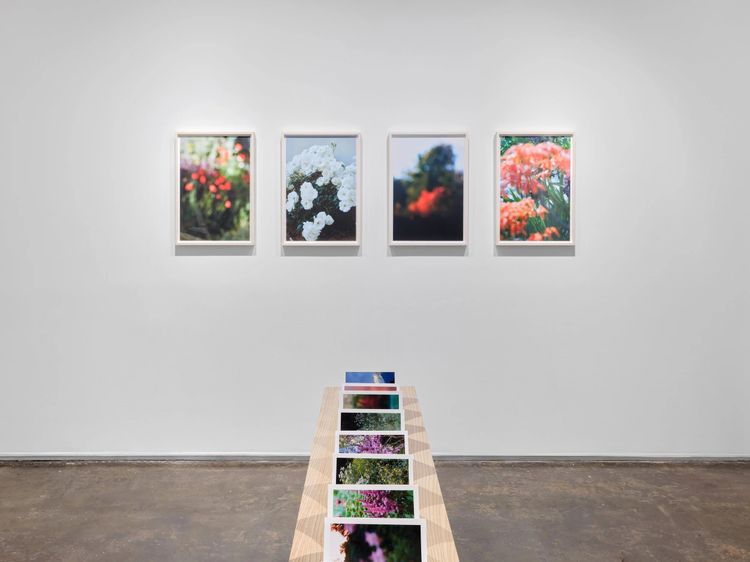 Installation view, Once Again I Fall Into My Feminine Ways, AIR
