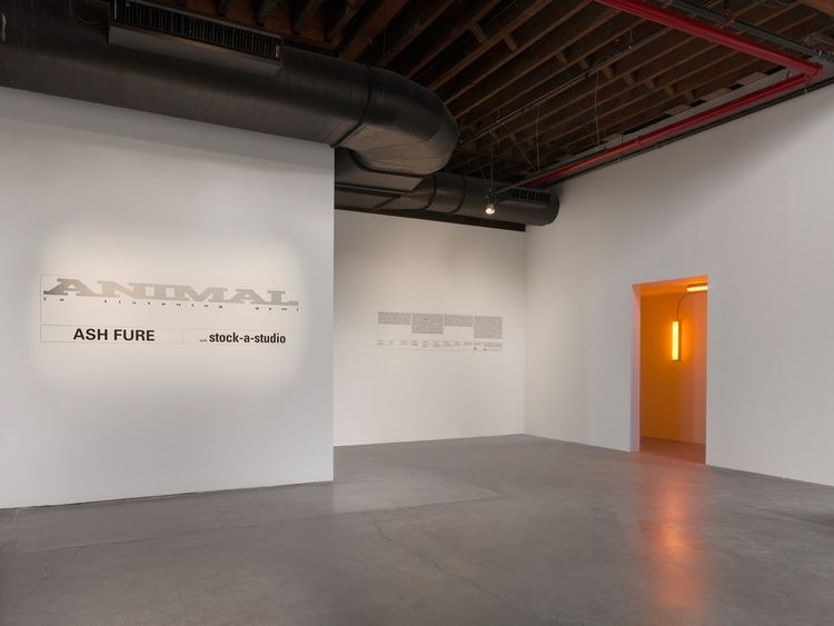 Installation view, ANIMAL [a listening gym], Pioneer Works · 2026 (5)
