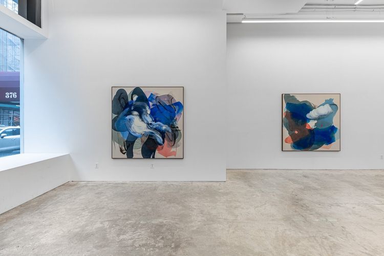 Installation view, Penumbra, Anat Ebgi · 2025 (9)