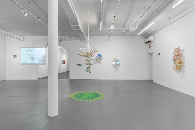 Installation view, Under, Cover, PROXYCO · 2026 (3)