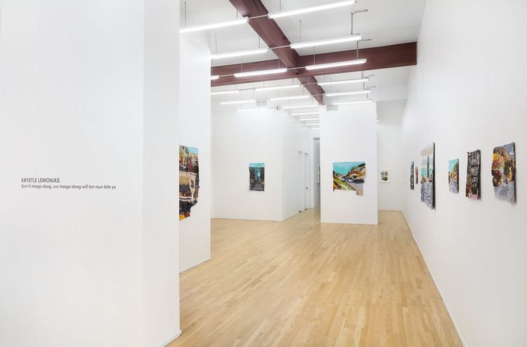 Installation view, Sorri fi maaga dawg, cuz maaga dawg will ton roun bite yu, Andrew Rafacz Gallery · 2026 (1)