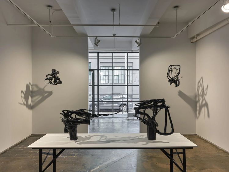 Installation view, The Banshees and Their Fairy Friends in the Shadow Forest, AIR · 2025 (5)