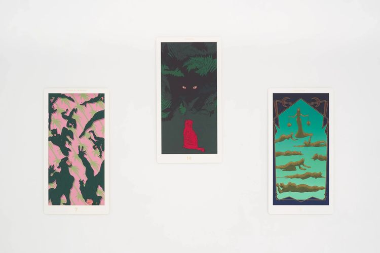Installation view, Cat Suit, Lubov · 2025 (6)