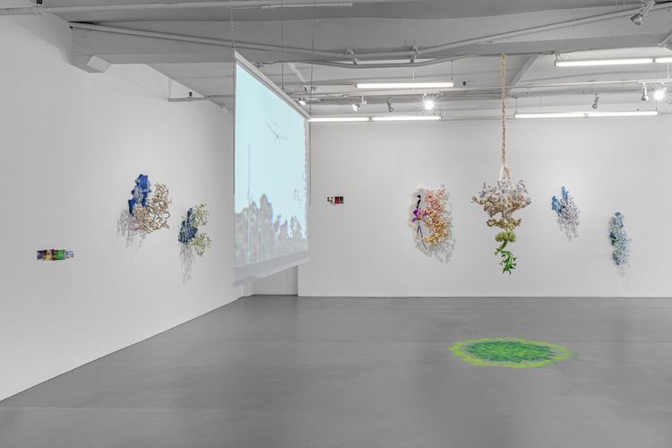 Installation view, Under, Cover, PROXYCO · 2026 (2)