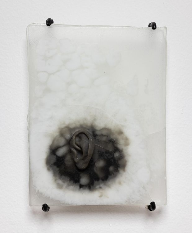 Installation view, Unkindness, Track 16, Hollywood · 2025 (17)