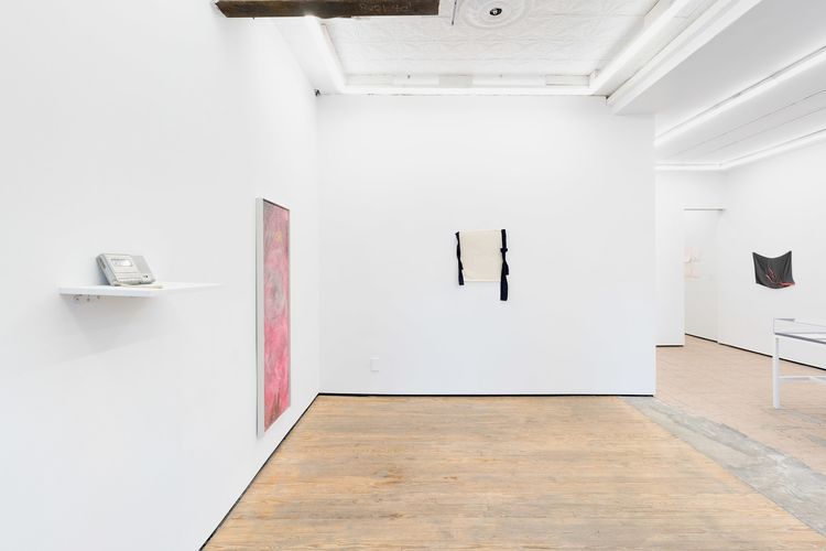 Installation view, WANNA, King's Leap · 2026 (14)