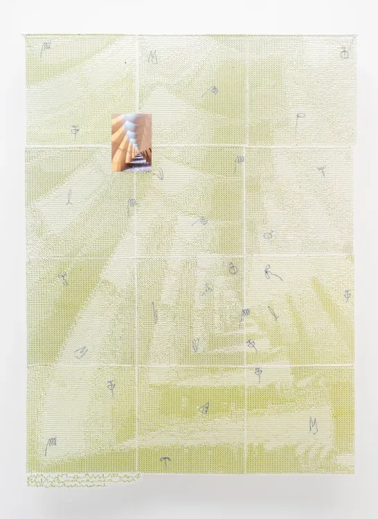 Installation view, Etiolated Calligrapher, Hyacinth Gallery · 2026 (19)