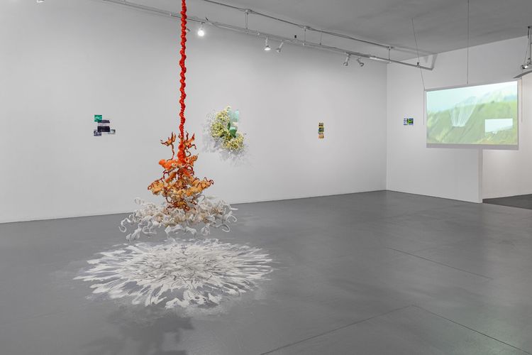 Installation view, Under, Cover, PROXYCO · 2026 (9)