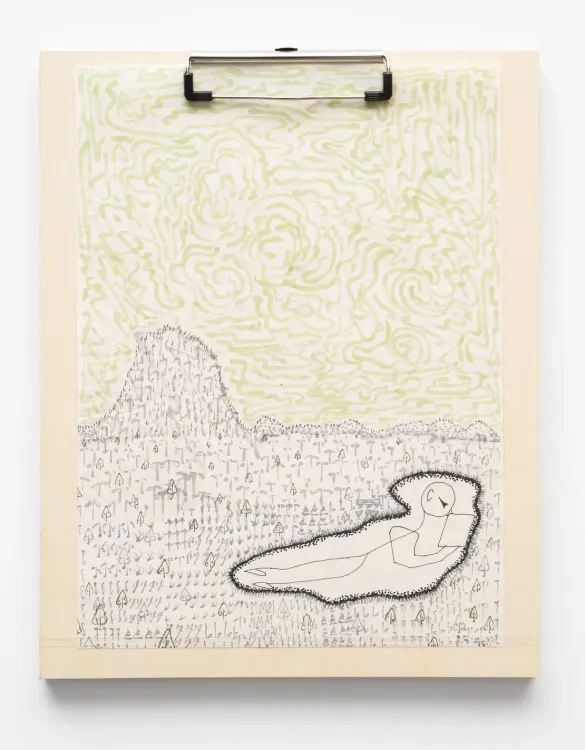 Installation view, Etiolated Calligrapher, Hyacinth Gallery · 2026 (3)