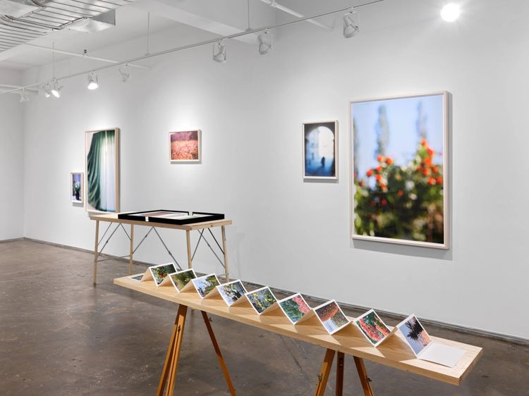 Installation view, Once Again I Fall Into My Feminine Ways, AIR · 2025 (3)