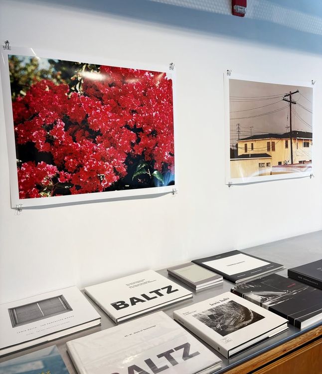 Installation view, The Deaths in Newport, Gallery Luisotti · 2026 (4)