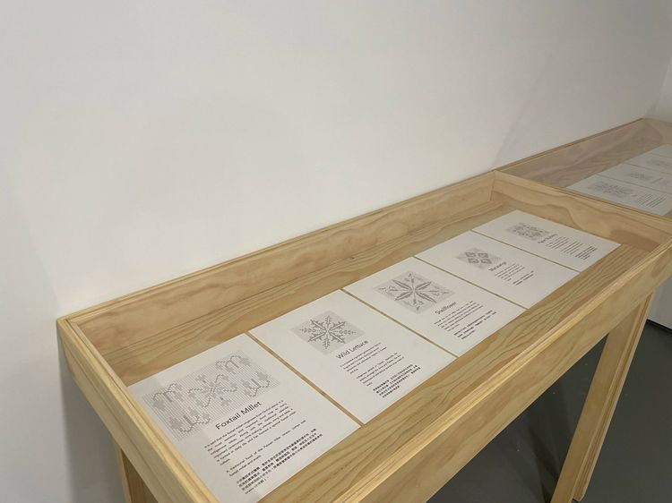 Installation view, Mapping Snail, Nunu Fine Art · 2025 (3)