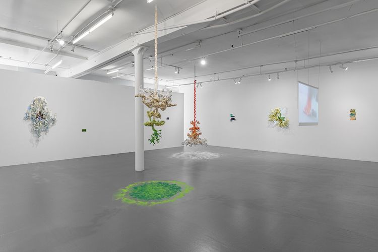 Installation view, Under, Cover, PROXYCO · 2026 (4)